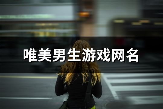 唯美男生游戲網名(精選445個)