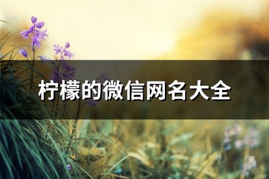 檸檬的微信網(wǎng)名大全(共133個(gè))