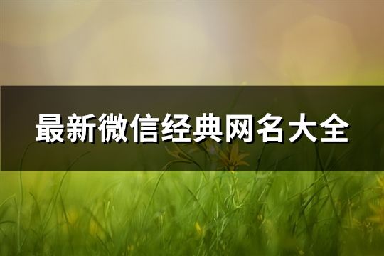最新微信經典網名大全(共2325個)