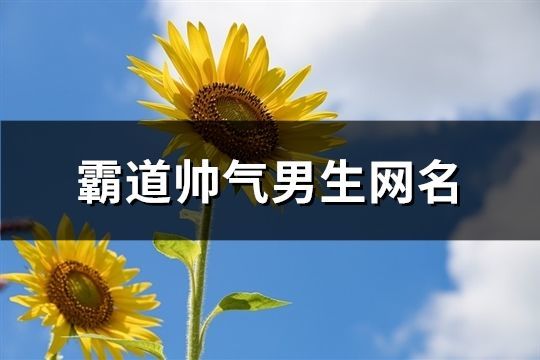 霸道帥氣男生網(wǎng)名(932個)