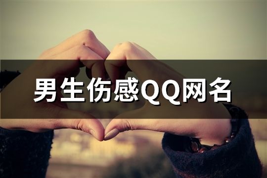 男生傷感QQ網名(634個)