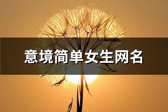 意境簡單女生網名(共739個)