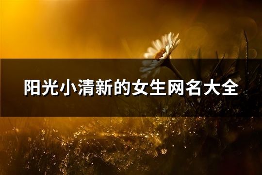 陽光小清新的女生網名大全(463個)