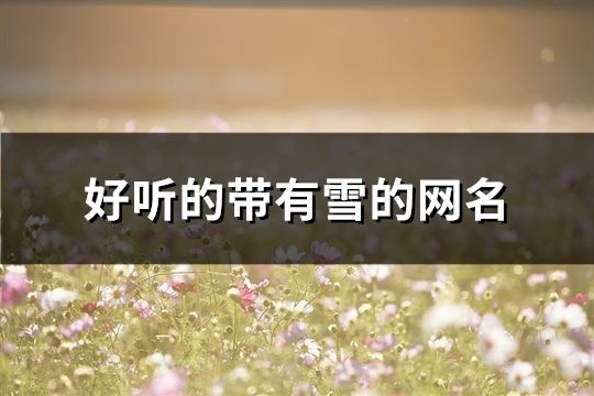 好聽的帶有雪的網名(共311個)