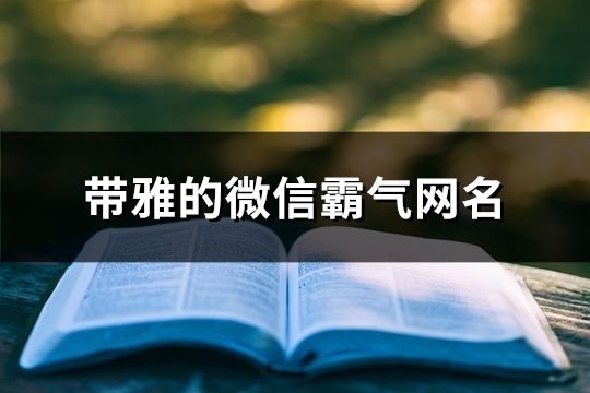帶雅的微信霸氣網(wǎng)名(140個(gè))