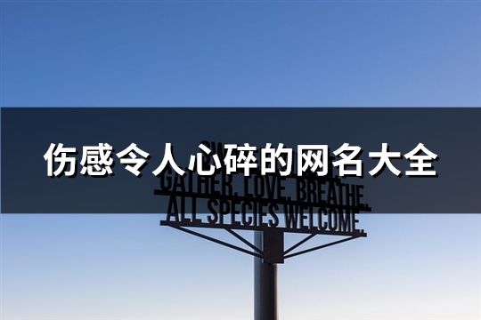 傷感令人心碎的網(wǎng)名大全(精選606個(gè))