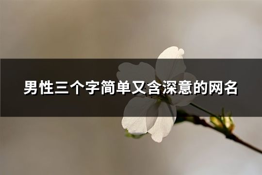 男性三個字簡單又含深意的網名(1450個)