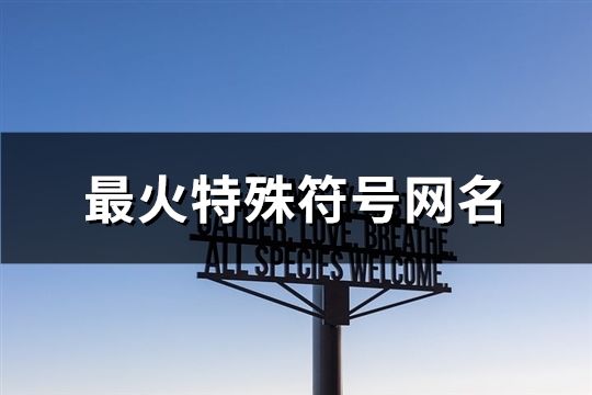 最火特殊符號網名(80個)