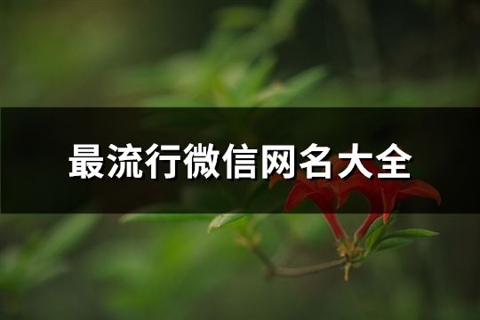 最流行微信網(wǎng)名大全(精選1355個(gè))