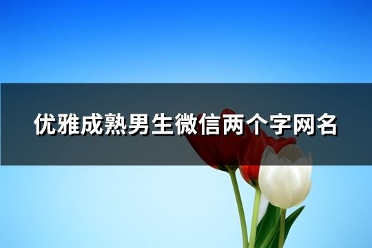 優雅成熟男生微信兩個字網名(精選1099個)