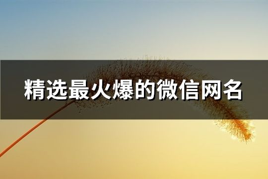 精選最火爆的微信網(wǎng)名(共129個(gè))