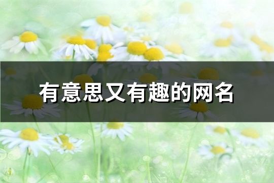 有意思又有趣的網(wǎng)名(精選140個(gè))