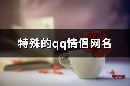 特殊的qq情侶網名(63個)