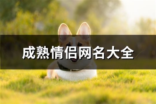 成熟情侶網名大全(精選108個)