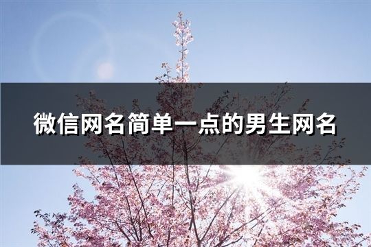 微信網(wǎng)名簡單一點的男生網(wǎng)名(246個)