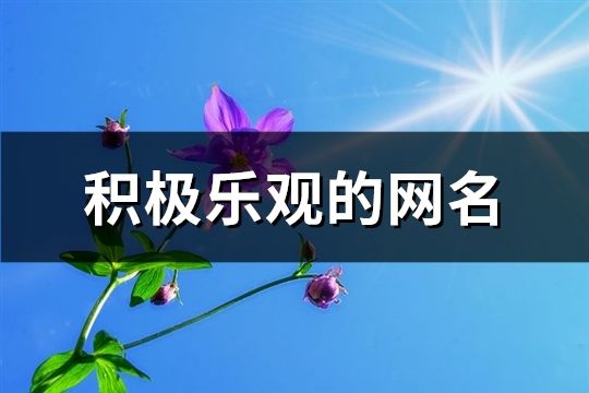 積極樂觀的網名(共114個)