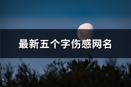 最新五個字傷感網名(110個)