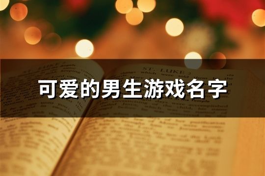 可愛的男生游戲名字(共722個)