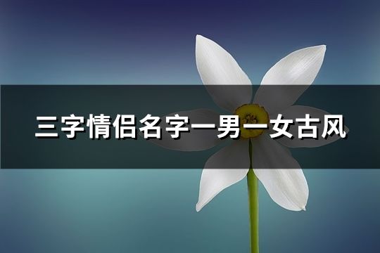 三字情侶名字一男一女古風(fēng)(163個(gè))
