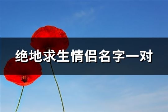 絕地求生情侶名字一對(共160個)