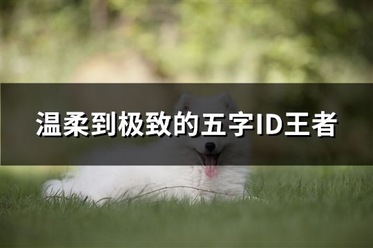 溫柔到極致的五字ID王者(666個(gè))