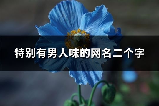 特別有男人味的網名二個字(共251個)