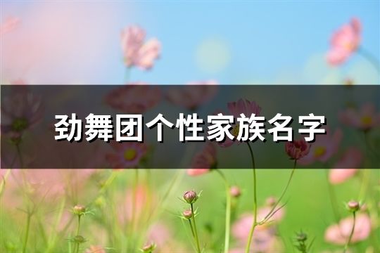 勁舞團個性家族名字(精選131個)