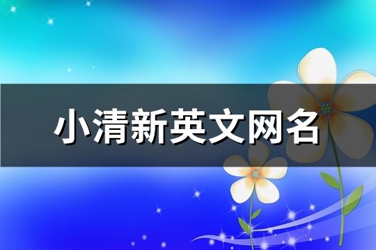 小清新英文網名(精選175個)