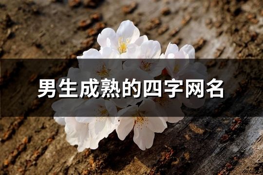 男生成熟的四字網(wǎng)名(248個)