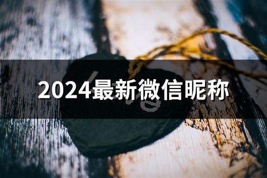 2024最新微信昵稱(261個)