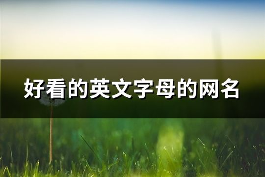 好看的英文字母的網名(精選87個)
