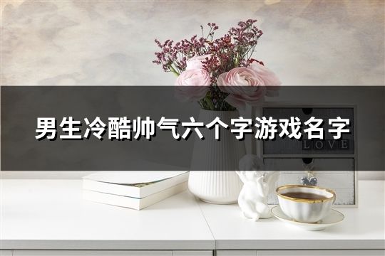 男生冷酷帥氣六個字游戲名字(精選457個)