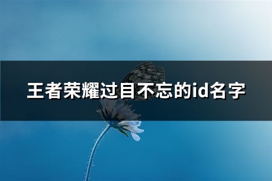 王者榮耀過目不忘的id名字(精選315個)