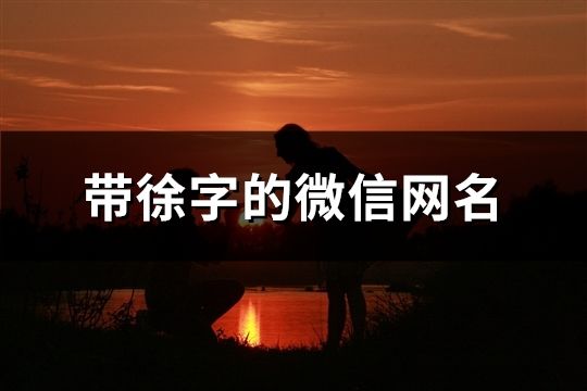 帶徐字的微信網名(共148個)