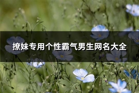 撩妹專用個性霸氣男生網(wǎng)名大全(精選229個)