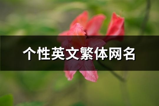 個性英文繁體網名(精選48個)