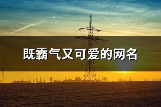 既霸氣又可愛的網名(113個)