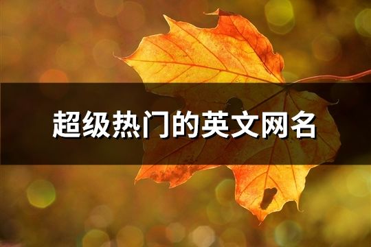 超級熱門的英文網名(197個)