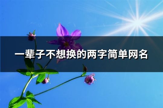 一輩子不想換的兩字簡單網名(精選175個)