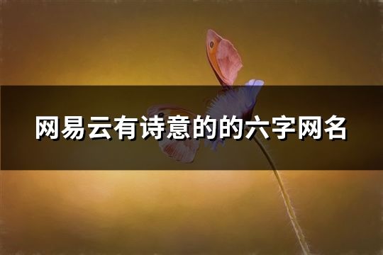 網(wǎng)易云有詩意的的六字網(wǎng)名(964個(gè))