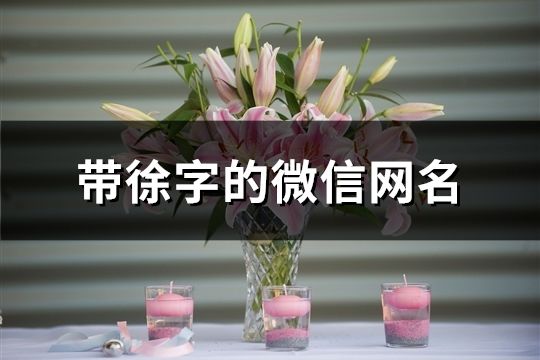 帶徐字的微信網(wǎng)名(共95個(gè))