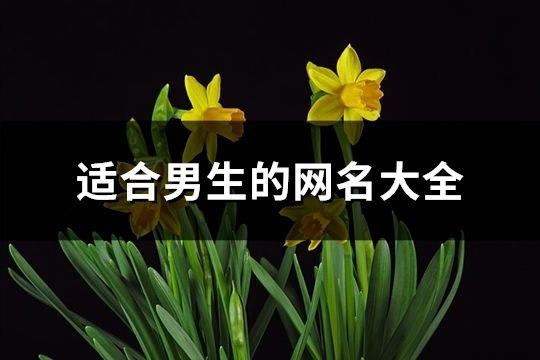 適合男生的網名大全(838個)