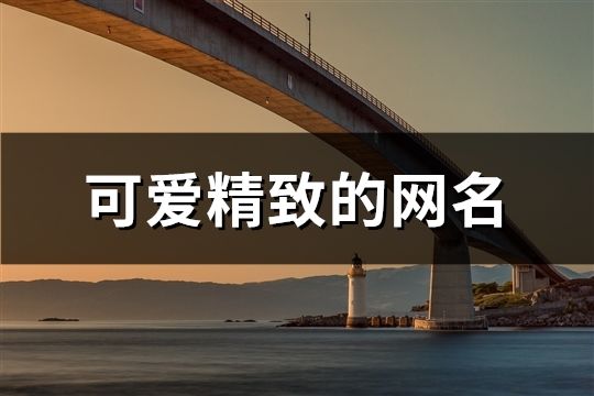 可愛精致的網名(精選960個)