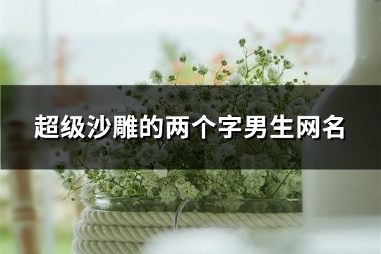 超級沙雕的兩個字男生網名(共1700個)