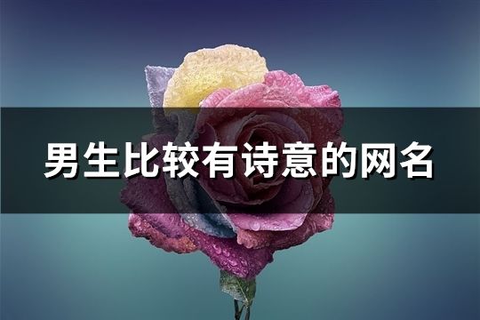 男生比較有詩意的網名(精選670個)