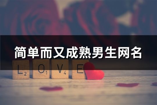 簡單而又成熟男生網名(精選1330個)