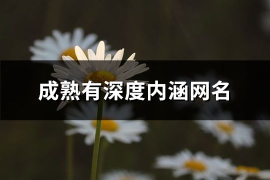 成熟有深度內涵網名(共226個)