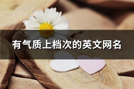有氣質上檔次的英文網名(共247個)