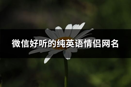 微信好聽(tīng)的純英語(yǔ)情侶網(wǎng)名(精選88個(gè))