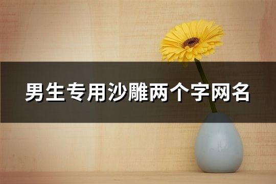 男生專用沙雕兩個字網名(精選109個)